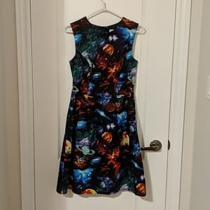 Birds of North America Intergalactic Print Dress